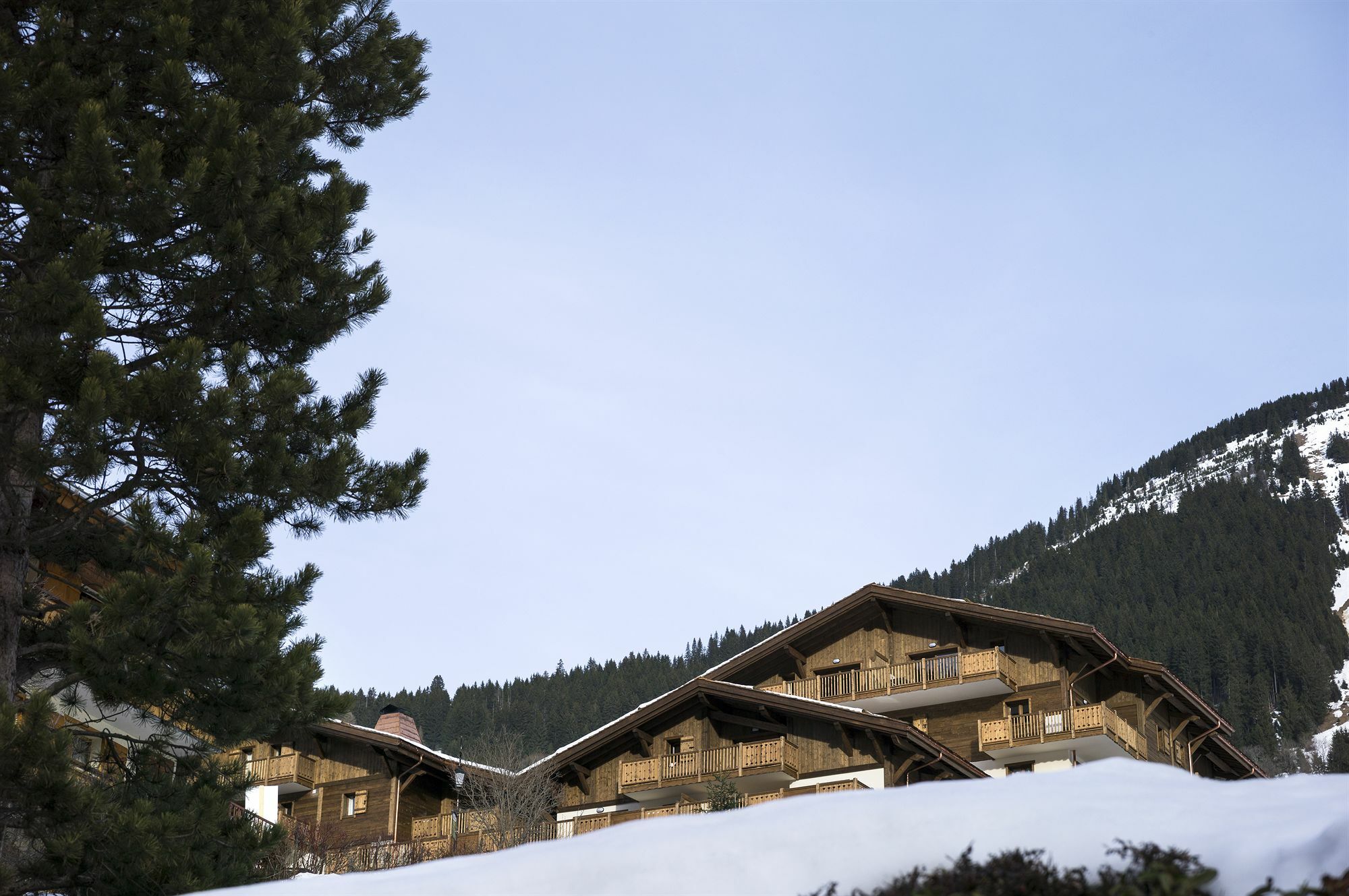 Cgh Residences & Spas Les Chalets D'Angele Châtel Eksteriør billede